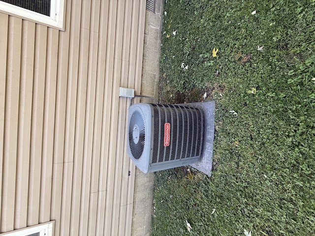 905 W Olive St: photo 10