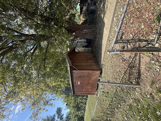 905 W Olive St: photo 13
