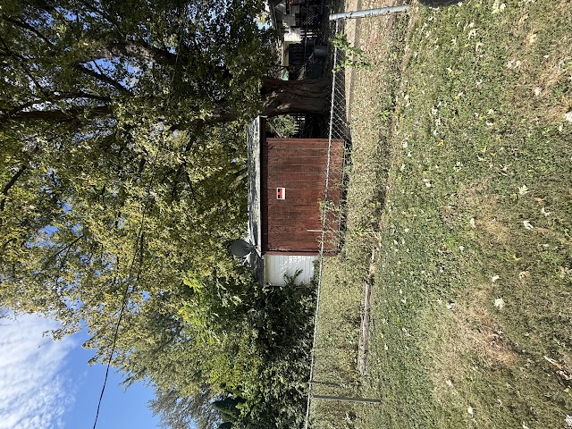 905 W Olive St: photo 12