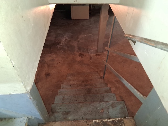 1818 E Clay St — photo 10