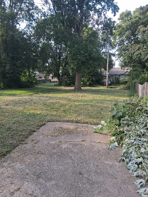 1818 E Clay St — photo 48