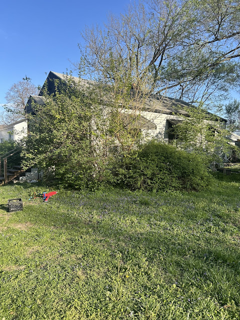 5538 Avon Pl — photo 4
