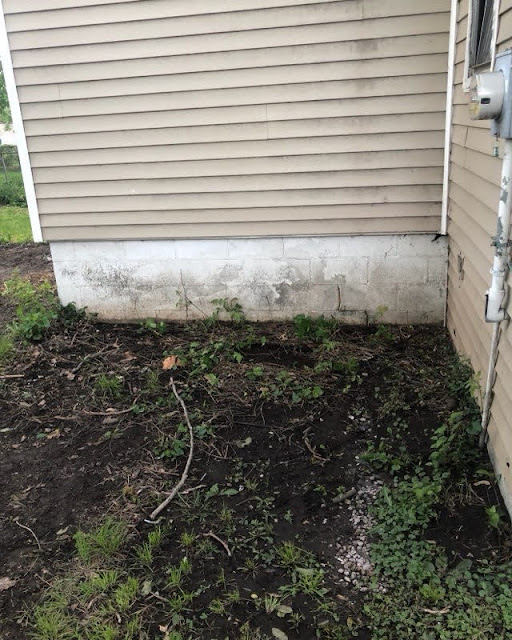 515 S Boyd St: photo 2